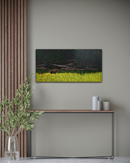 Oil painting of a grizzly bear stepping from a sunlit wildflower meadow into the shadowy calm of a forest, on a white wall behind a table