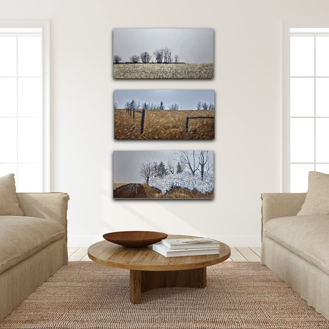 Finter with First Frost and Take the Dirt Road oil paintings on a white wall in a living room
