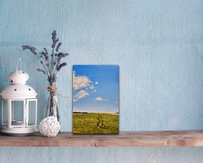 Decorative shelf with a lantern, vase with lavender, and a painting of a field on a blue wall.