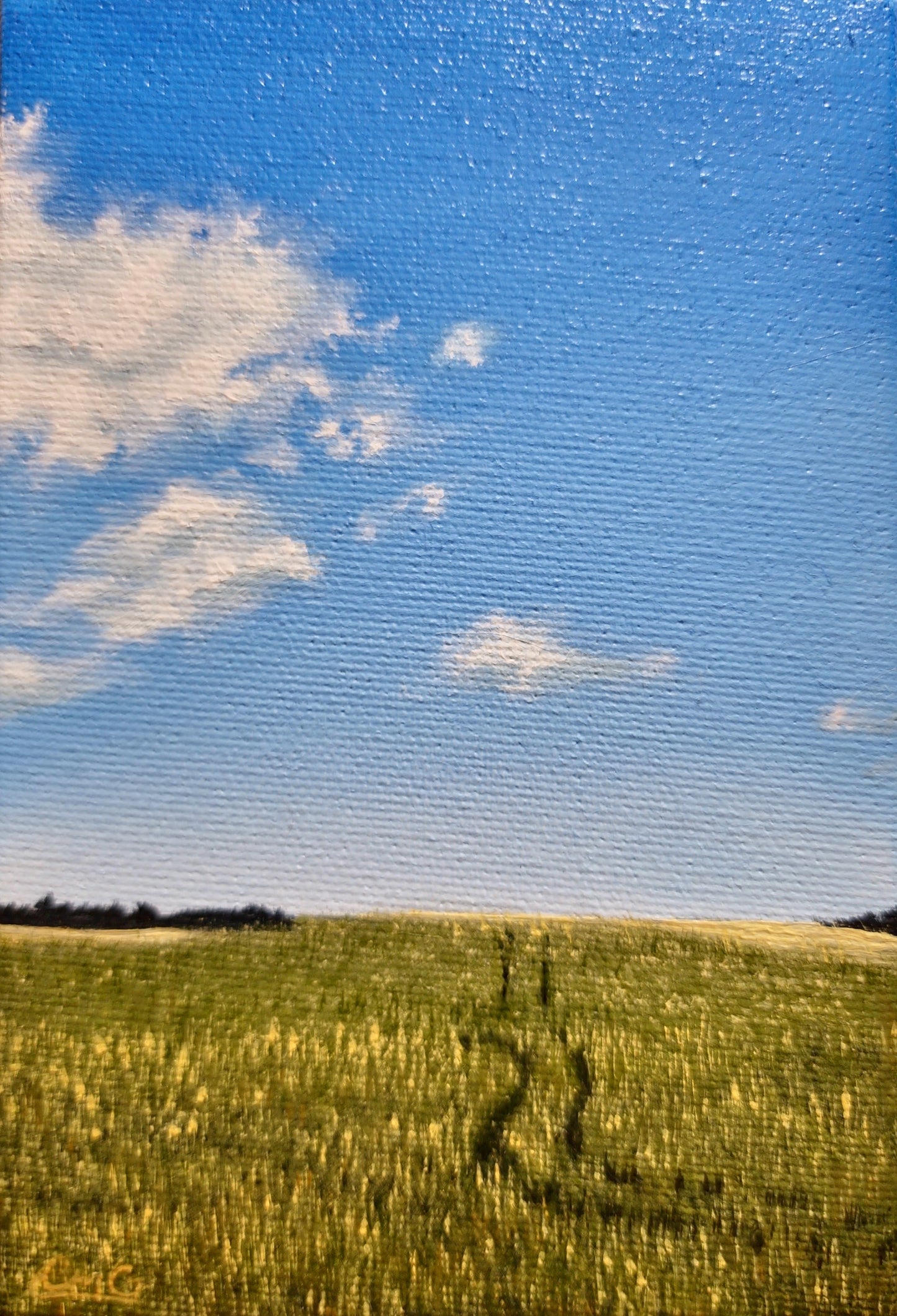 Field oil painting of a blue sky and white clouds