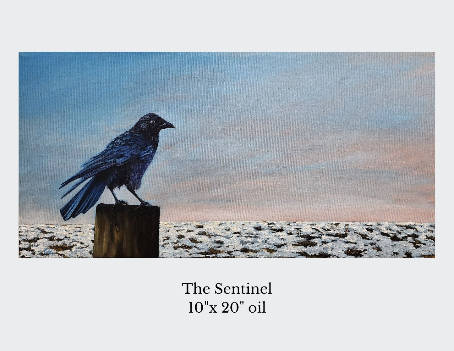 2026 Calendar Pre-Order