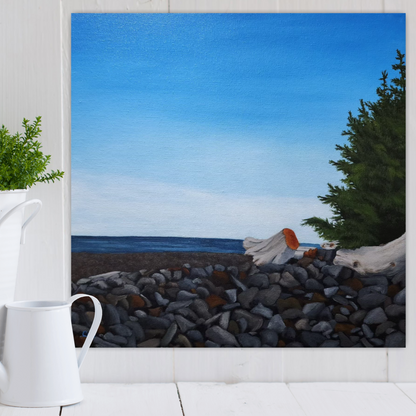 Christina Gouldsborough's original oil landscape painting of a Vancouver Island scene of a misty mid day at the ocean shore, on a white wall, with a plant and water can in white in front on a shelf