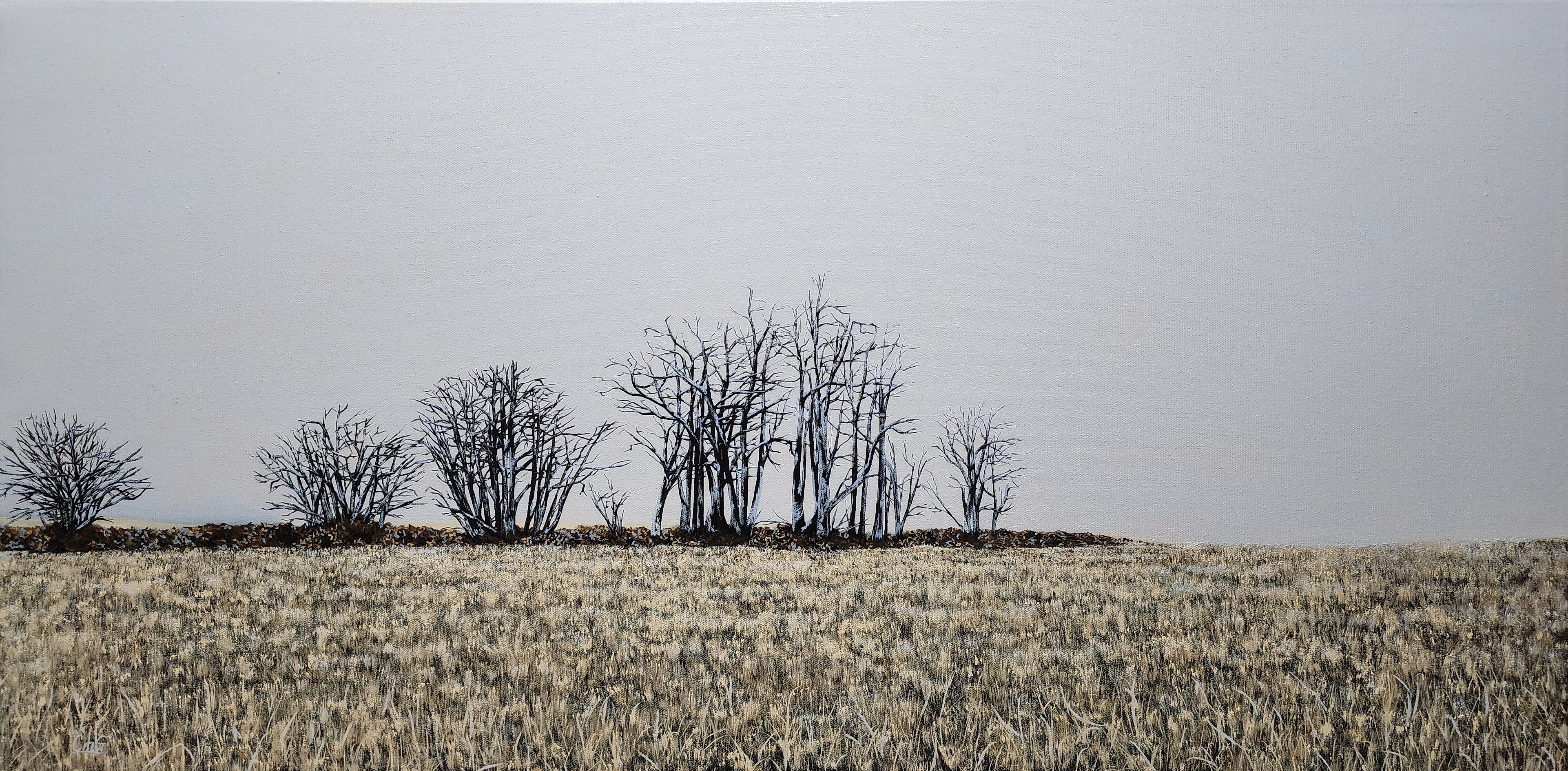 Finter 18"x36" oil painting of a field with winter trees and a blue-grey horizon