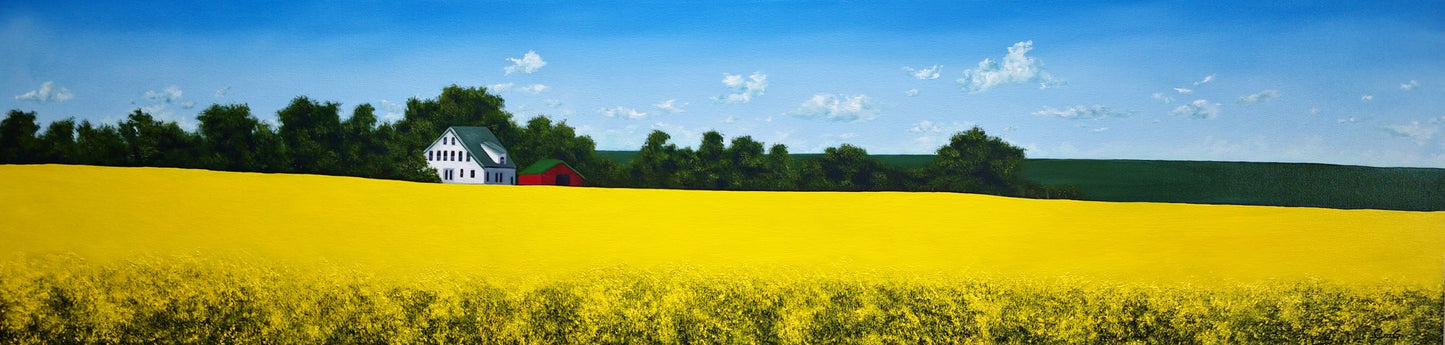 long narrow painting of a white house and red shed backdropped by willows and surrounded by canola