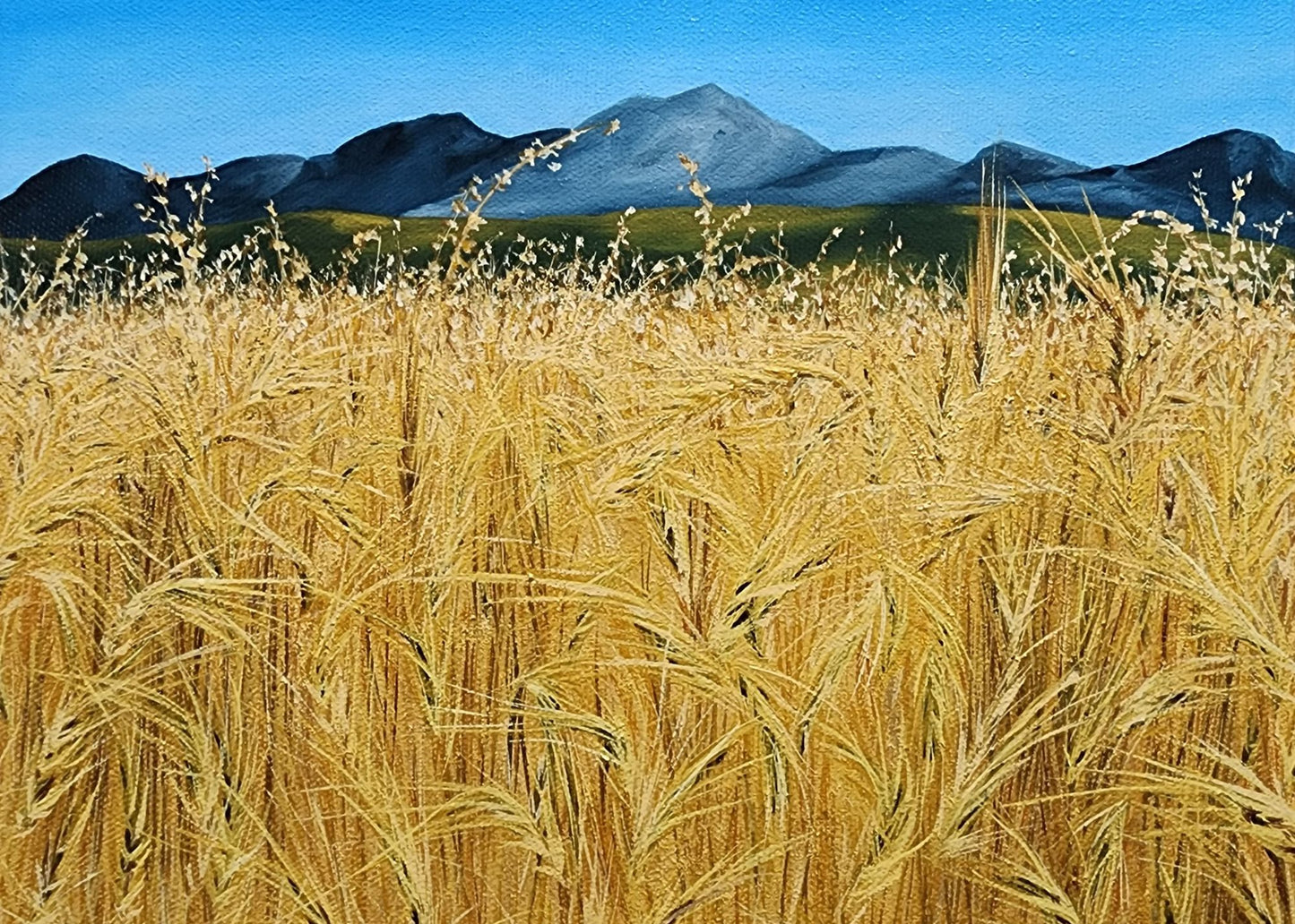 Original Art Greeting Cards (Blank) 5"x7" card -full image cover