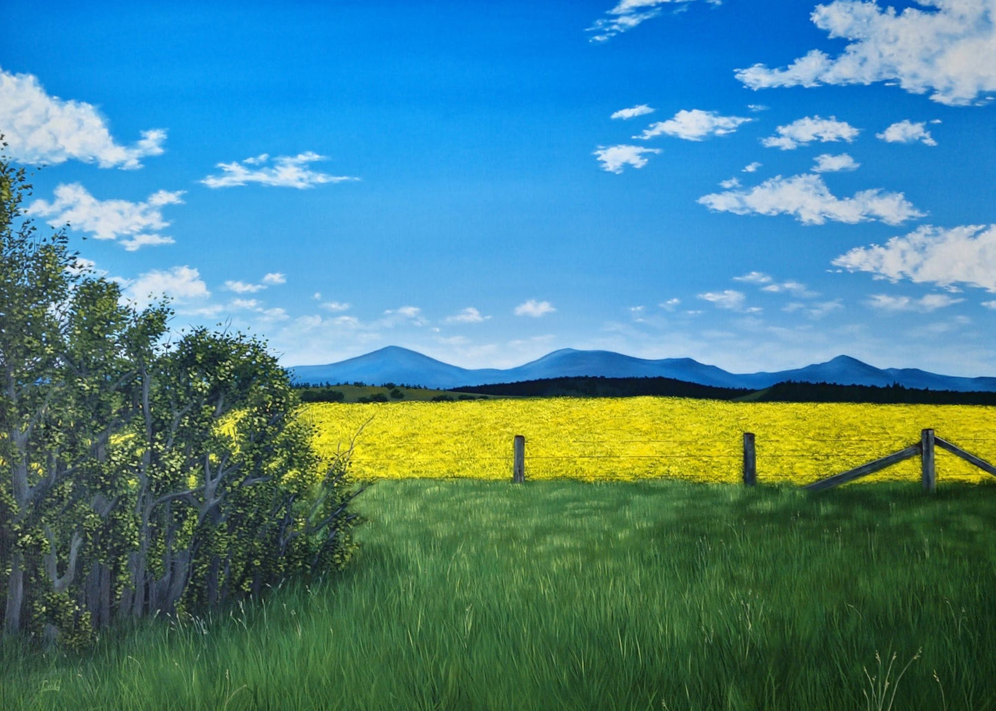 Original Art Greeting Cards (Blank) 5"x7" card -full image cover